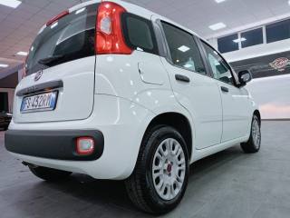 FIAT Panda usata 24