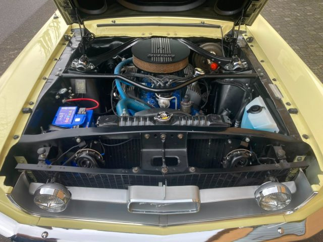 FORD Mustang usata 21