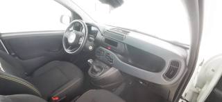 FIAT Panda usata 47