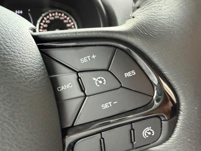 JEEP Renegade usata, con Park Distance Control