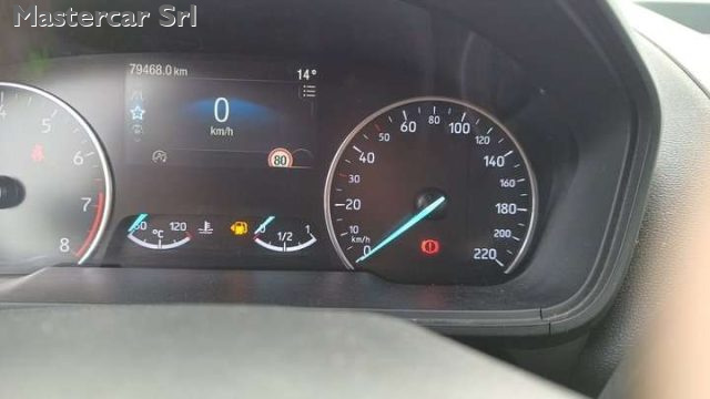 FORD EcoSport usata, con Cruise Control