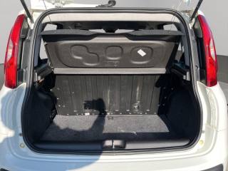 FIAT Panda usata 14
