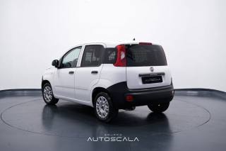 FIAT New Panda usata, con Airbag Passeggero