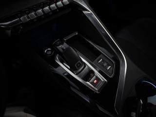 PEUGEOT 3008 usata, con Volante in pelle