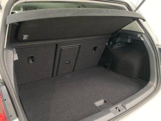 VOLKSWAGEN Golf usata, con Immobilizzatore elettronico