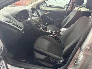 FORD Focus usata, con Cronologia tagliandi