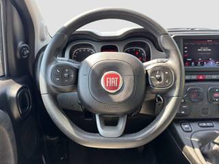 FIAT Panda Cross usata 12