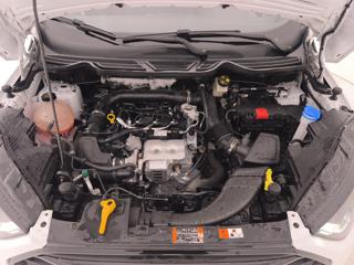 FORD EcoSport usata, con Airbag testa