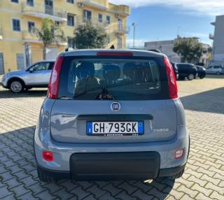 FIAT Panda usata, con Antifurto