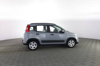 FIAT Panda usata 2