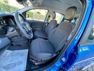FIAT Panda usata, con Controllo trazione