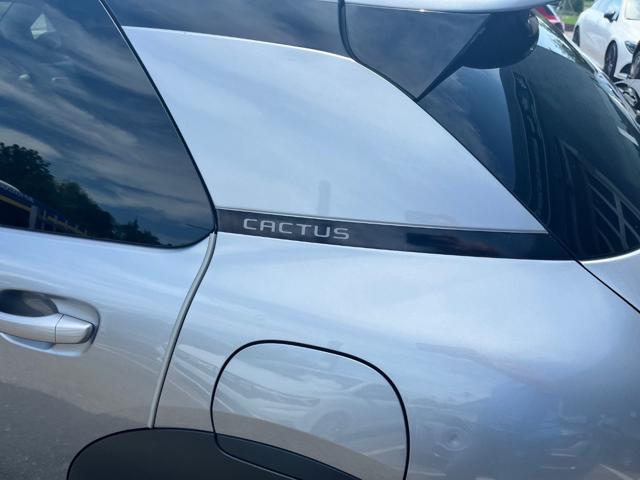CITROEN C4 Cactus usata, con Alzacristalli elettrici
