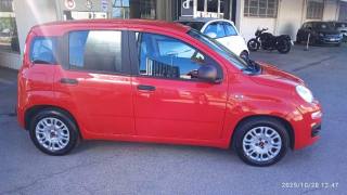 FIAT Panda usata, con Airbag