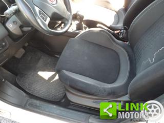 FIAT Punto usata 15