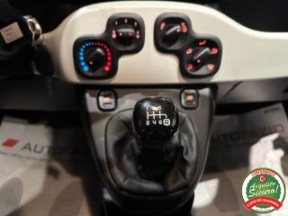 FIAT Panda usata, con Cronologia tagliandi