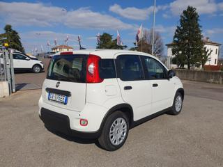 FIAT Panda usata, con Boardcomputer