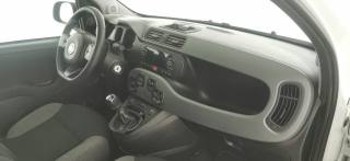 FIAT Panda usata 33