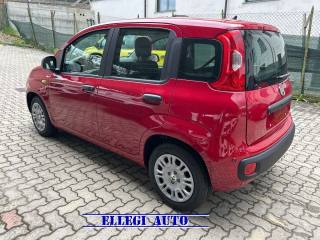 FIAT Panda usata, con Boardcomputer