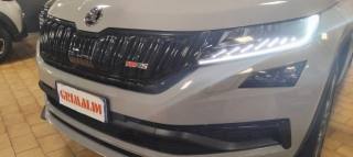 SKODA Kodiaq usata, con Autoradio digitale