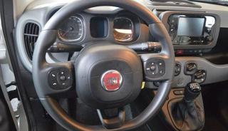 FIAT Panda usata, con Controllo trazione