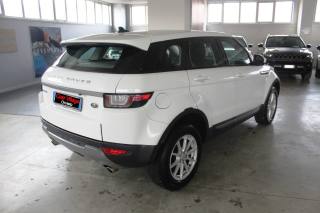 LAND ROVER Range Rover Evoque usata, con Airbag Passeggero