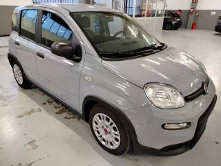 FIAT Panda usata, con Immobilizzatore elettronico