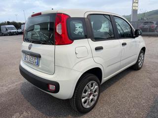 FIAT Panda usata, con Chiusura centralizzata