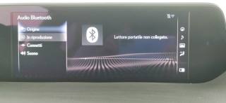 LEXUS UX 250h usata 74