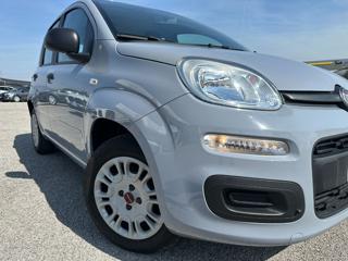 FIAT Panda usata, con Alzacristalli elettrici