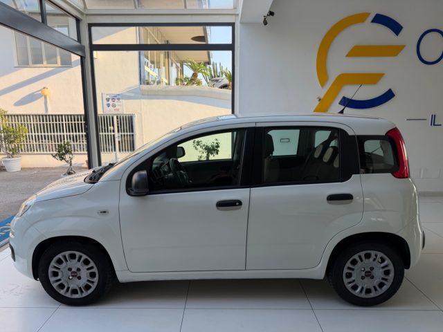 FIAT Panda usata, con Alzacristalli elettrici