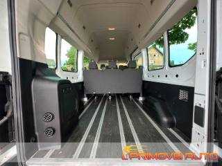 FORD Transit usata 17