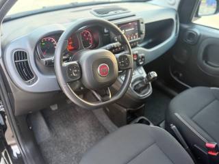 FIAT Panda Cross usata, con Sensori di parcheggio posteriori