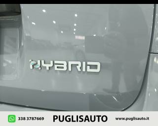 FIAT Panda Cross usata, con Specchietti laterali elettrici