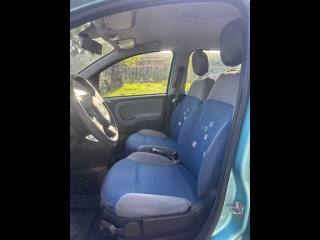 FIAT Panda usata 13