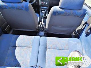 FIAT Punto usata 13