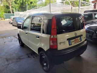 FIAT Panda usata 3