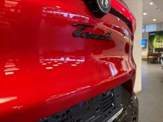 ALFA ROMEO Tonale usata, con Autoradio
