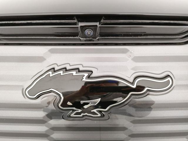 FORD Mustang Mach-E usata, con Bluetooth