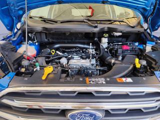 FORD EcoSport usata, con Interni in pelle