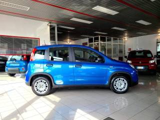 FIAT Panda usata, con Antifurto
