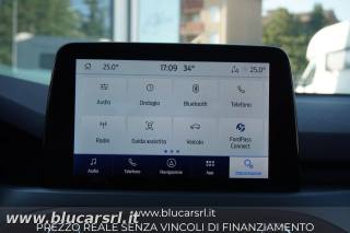 FORD Focus usata 15