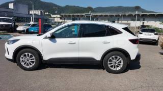 FORD Kuga usata, con Fari LED