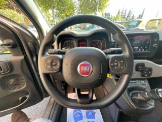 FIAT Panda usata, con Cronologia tagliandi