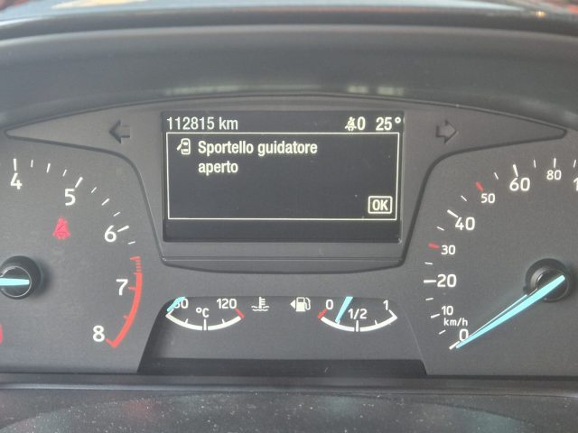 FORD Fiesta usata, con Fendinebbia