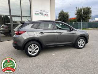 OPEL Grandland X usata, con Cruise Control