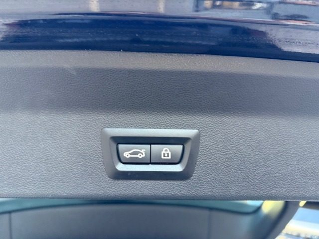 BMW X3 usata, con ESP