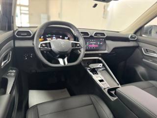 MG ZS usata, con Park Distance Control