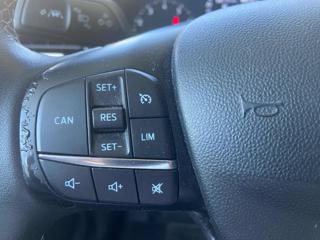 FORD Fiesta usata, con Cronologia tagliandi