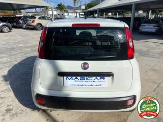 FIAT Panda usata, con Alzacristalli elettrici