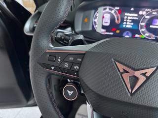 CUPRA Terramar usata, con ESP